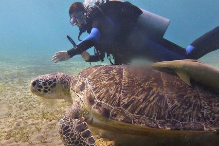 Marsa Shona Diving