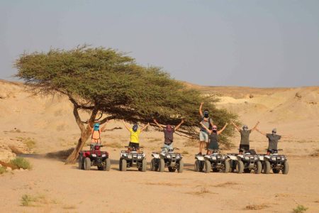 Morning Safari Quad Bike From Masa Alam